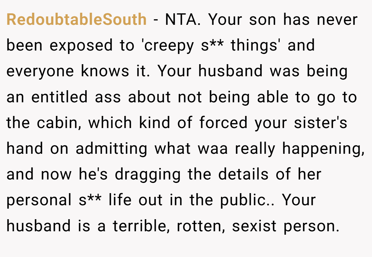 RedoubtableSouth - NTA. Your son has never been exposed to 'creepy s** things' and everyone knows it. Your husband was being an entitled ass about not being able to go to the cabin, which kind of forced your sister's hand on admitting what waa really happening, and now he's dragging the details of her personal s** life out in the public.. Your husband is a terrible, rotten, sexist person.