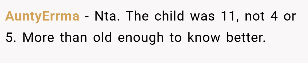 AuntyErrma − Nta. The child was 11, not 4 or 5. More than old enough to know better.