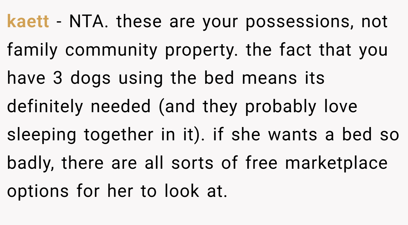 kaett - NTA. these are your possessions, not family community property. the fact that you have 3 dogs using the bed means its definitely needed (and they probably love sleeping together in it). if she wants a bed so badly, there are all sorts of free marketplace options for her to look at.