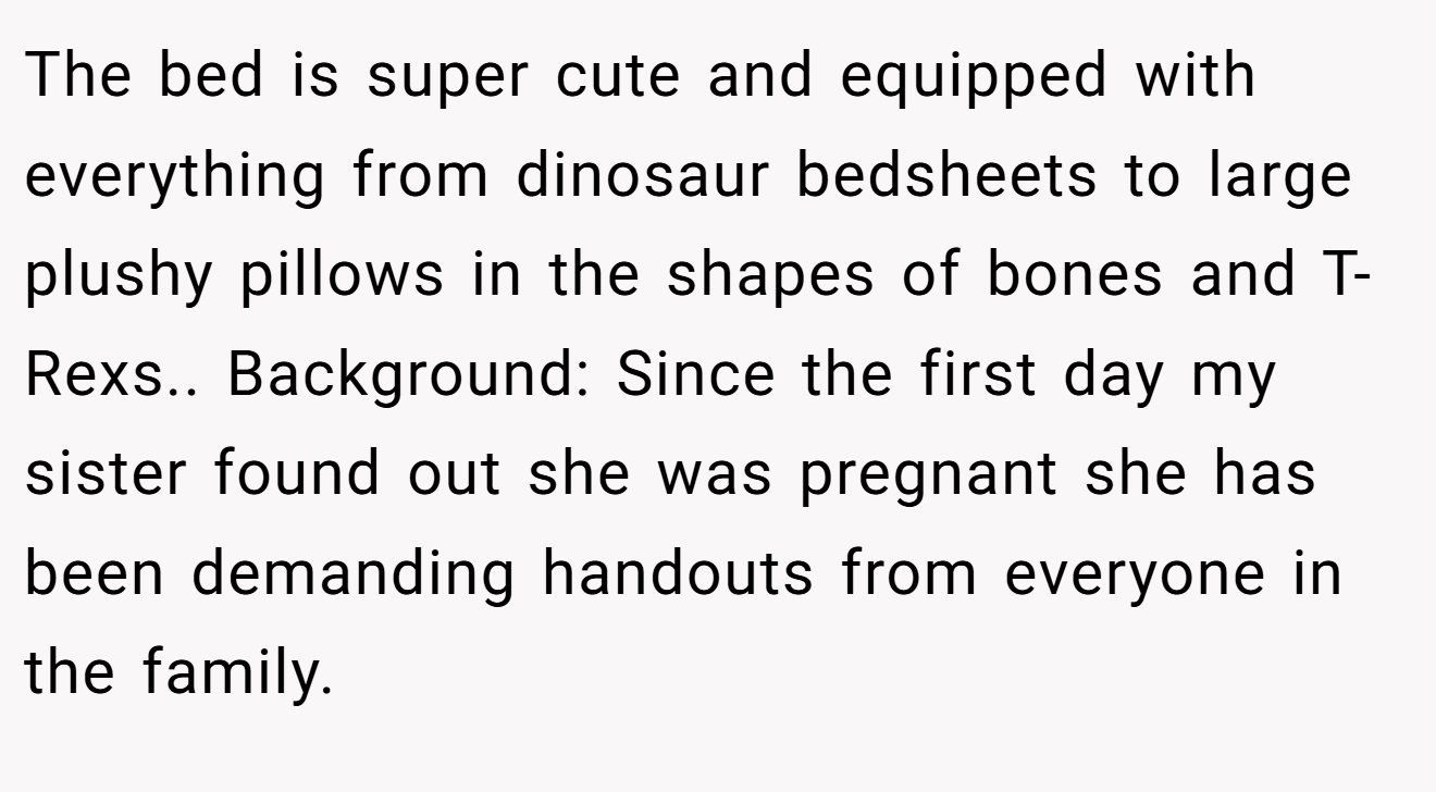 The bed is super cute and equipped with everything from dinosaur bedsheets to large plushy pillows in the shapes of bones and T-Rexs.. Background: Since the first day my sister found out she was pregnant she has been demanding handouts from everyone in the family.