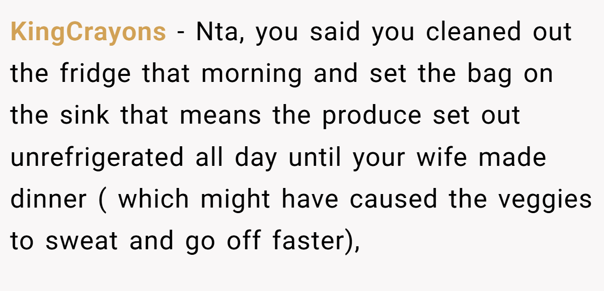 KingCrayons − Nta, you said you cleaned out the fridge that morning and set the bag on the sink that means the produce set out unrefrigerated all day until your wife made dinner ( which might have caused the veggies to sweat and go off faster),