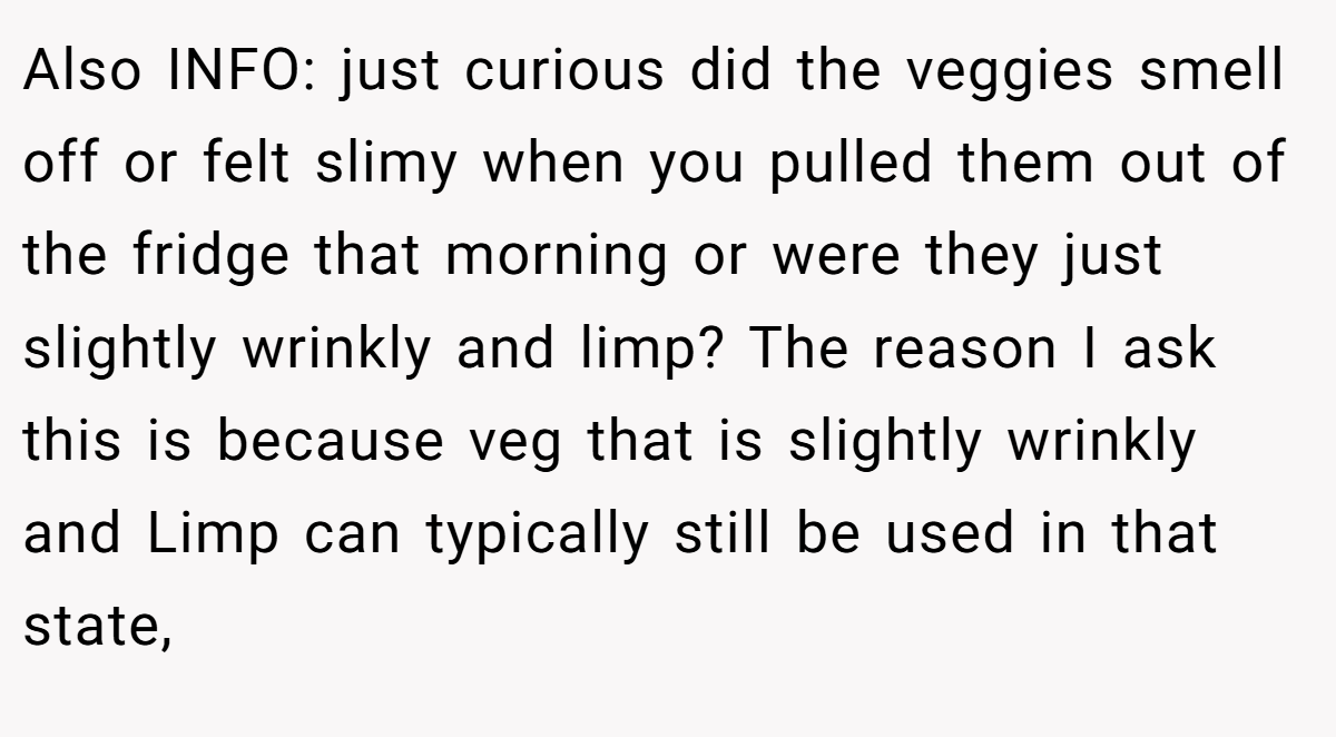 Also INFO: just curious did the veggies smell off or felt slimy when you pulled them out of the fridge that morning or were they just slightly wrinkly and limp? The reason I ask this is because veg that is slightly wrinkly and Limp can typically still be used in that state,
