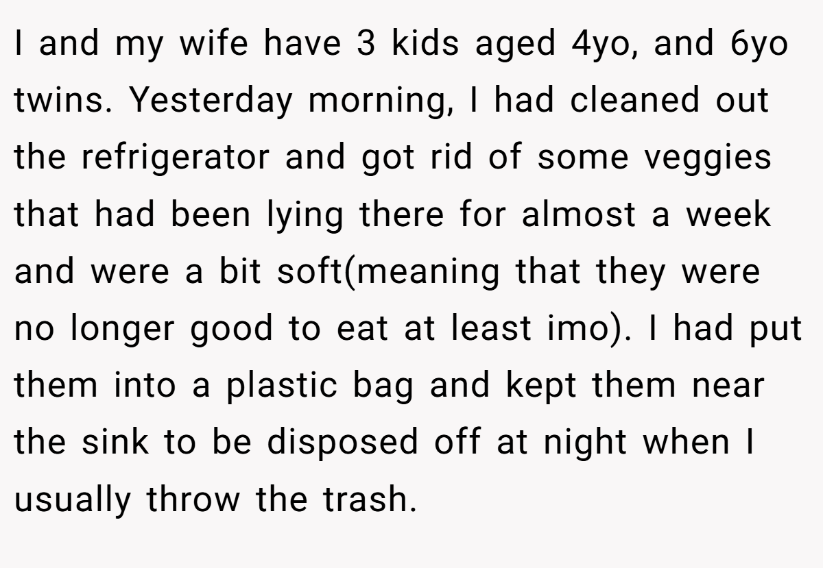 I and my wife have 3 kids aged 4yo, and 6yo twins. Yesterday morning, I had cleaned out the refrigerator and got rid of some veggies that had been lying there for almost a week and were a bit soft(meaning that they were no longer good to eat at least imo). I had put them into a plastic bag and kept them near the sink to be disposed off at night when I usually throw the trash.