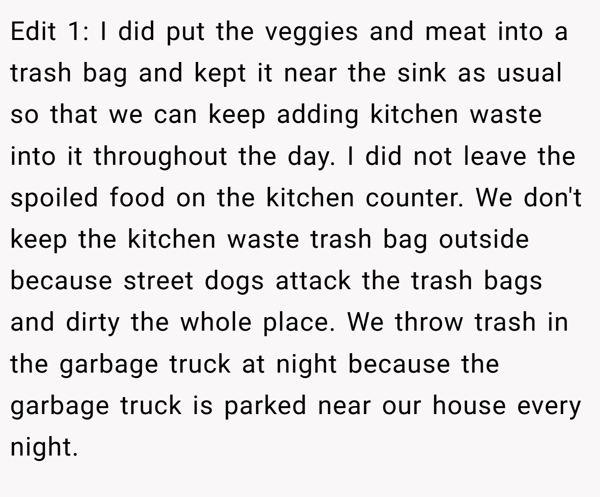 Edit 1: I did put the veggies and meat into a trash bag and kept it near the sink as usual so that we can keep adding kitchen waste into it throughout the day. I did not leave the spoiled food on the kitchen counter. We don't keep the kitchen waste trash bag outside because street dogs attack the trash bags and dirty the whole place. We throw trash in the garbage truck at night because the garbage truck is parked near our house every night.