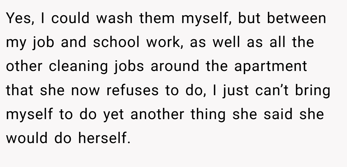 Yes, I could wash them myself, but between my job and school work, as well as all the other cleaning jobs around the apartment that she now refuses to do, I just can’t bring myself to do yet another thing she said she would do herself.