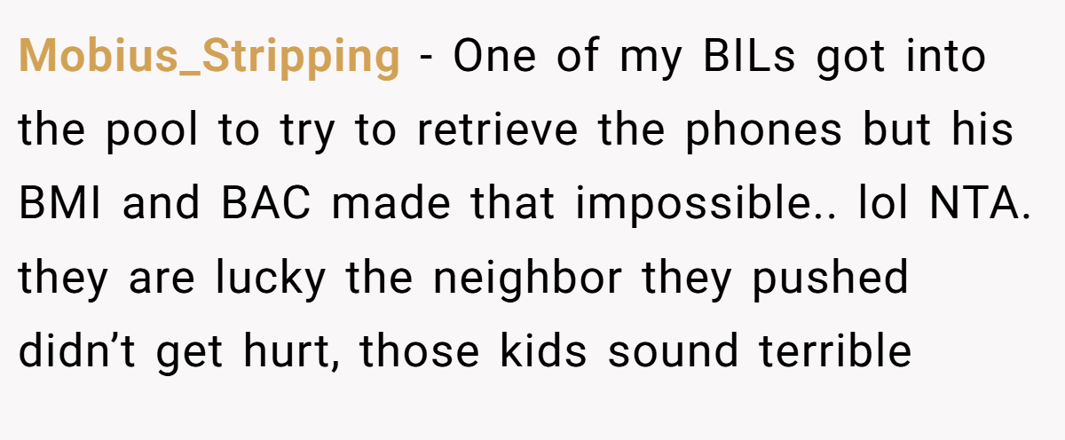 Mobius_Stripping - One of my BILs got into the pool to try to retrieve the phones but his BMI and BAC made that impossible.. lol NTA. they are lucky the neighbor they pushed didn’t get hurt, those kids sound terrible