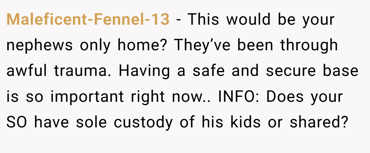 Maleficent-Fennel-13 − This would be your nephews only home? They’ve been through awful trauma. Having a safe and secure base is so important right now.. INFO: Does your SO have sole custody of his kids or shared?