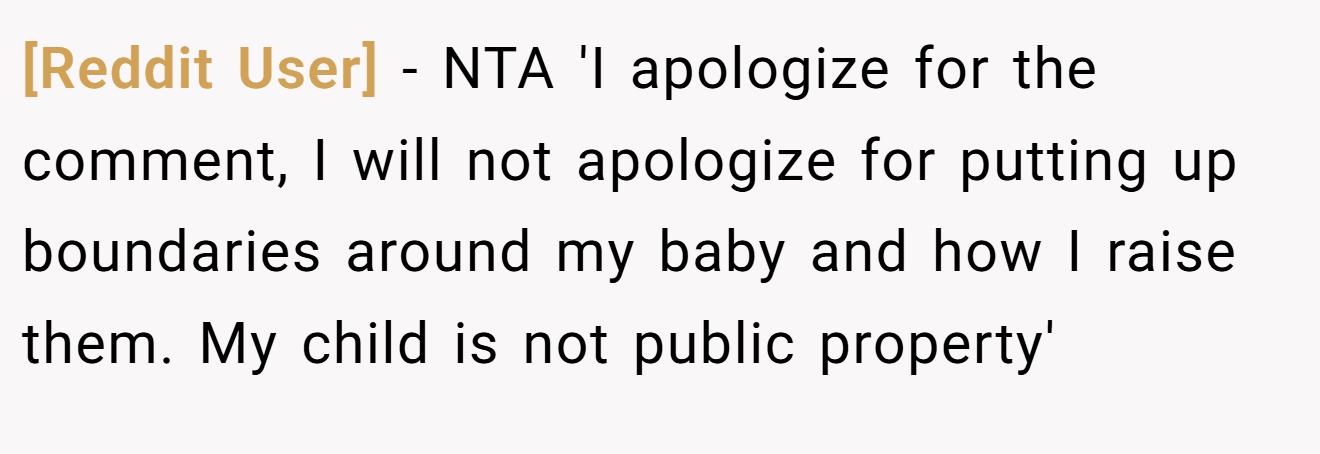 [Reddit User] - NTA 'I apologize for the comment, I will not apologize for putting up boundaries around my baby and how I raise them. My child is not public property'