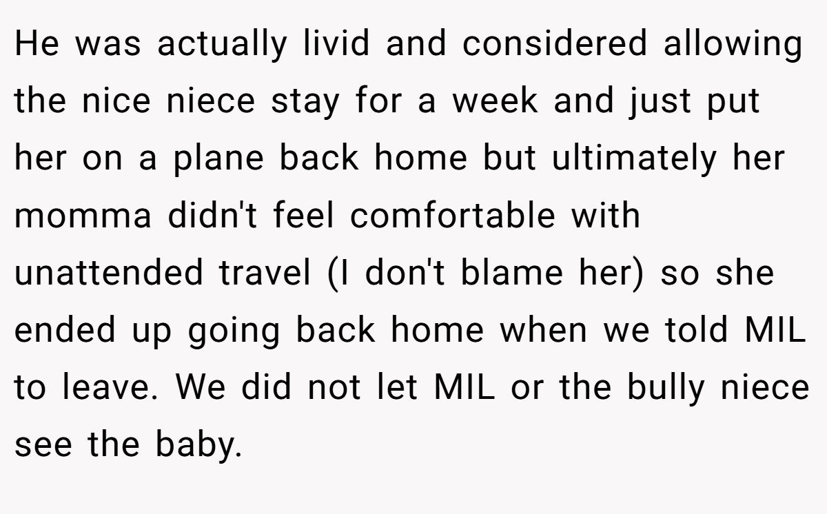 He was actually livid and considered allowing the nice niece stay for a week and just put her on a plane back home but ultimately her momma didn't feel comfortable with unattended travel (I don't blame her) so she ended up going back home when we told MIL to leave. We did not let MIL or the bully niece see the baby.
