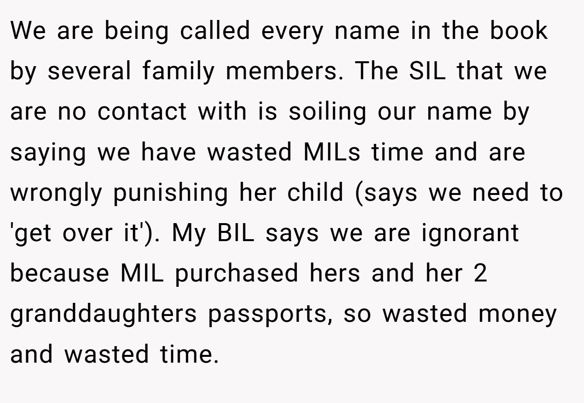 We are being called every name in the book by several family members. The SIL that we are no contact with is soiling our name by saying we have wasted MILs time and are wrongly punishing her child (says we need to 'get over it'). My BIL says we are ignorant because MIL purchased hers and her 2 granddaughters passports, so wasted money and wasted time.