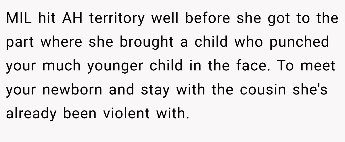 MIL hit AH territory well before she got to the part where she brought a child who punched your much younger child in the face. To meet your newborn and stay with the cousin she's already been violent with.