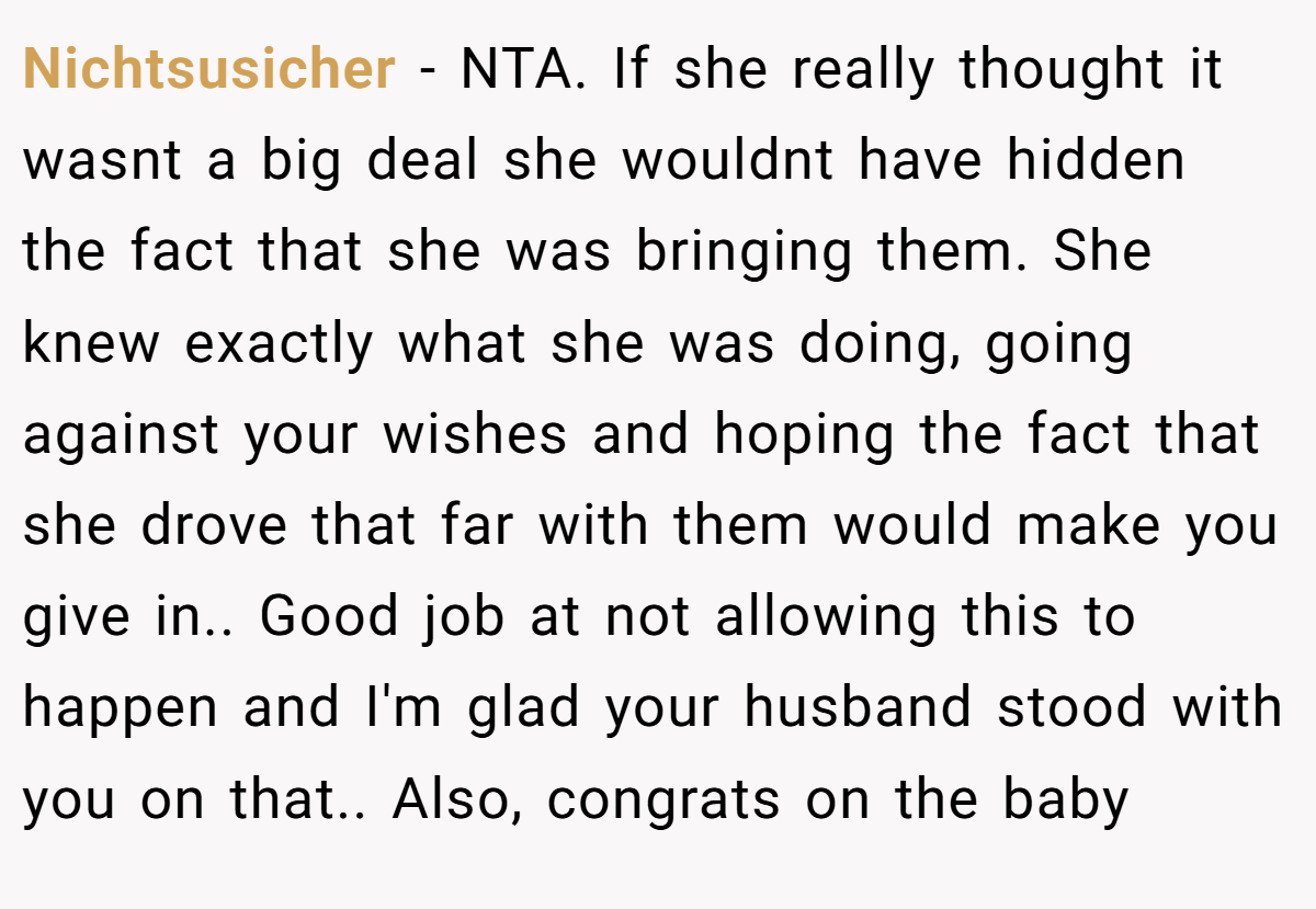 Nichtsusicher - NTA. If she really thought it wasnt a big deal she wouldnt have hidden the fact that she was bringing them. She knew exactly what she was doing, going against your wishes and hoping the fact that she drove that far with them would make you give in.. Good job at not allowing this to happen and I'm glad your husband stood with you on that.. Also, congrats on the baby