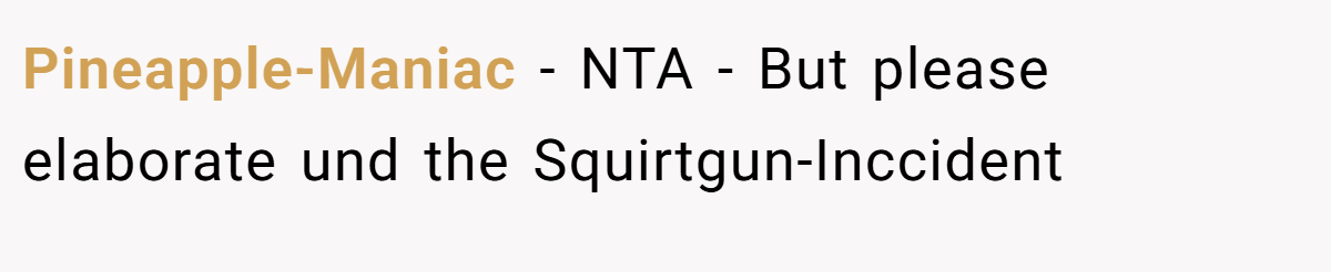 Pineapple-Maniac - NTA - But please elaborate und the Squirtgun-Inccident
