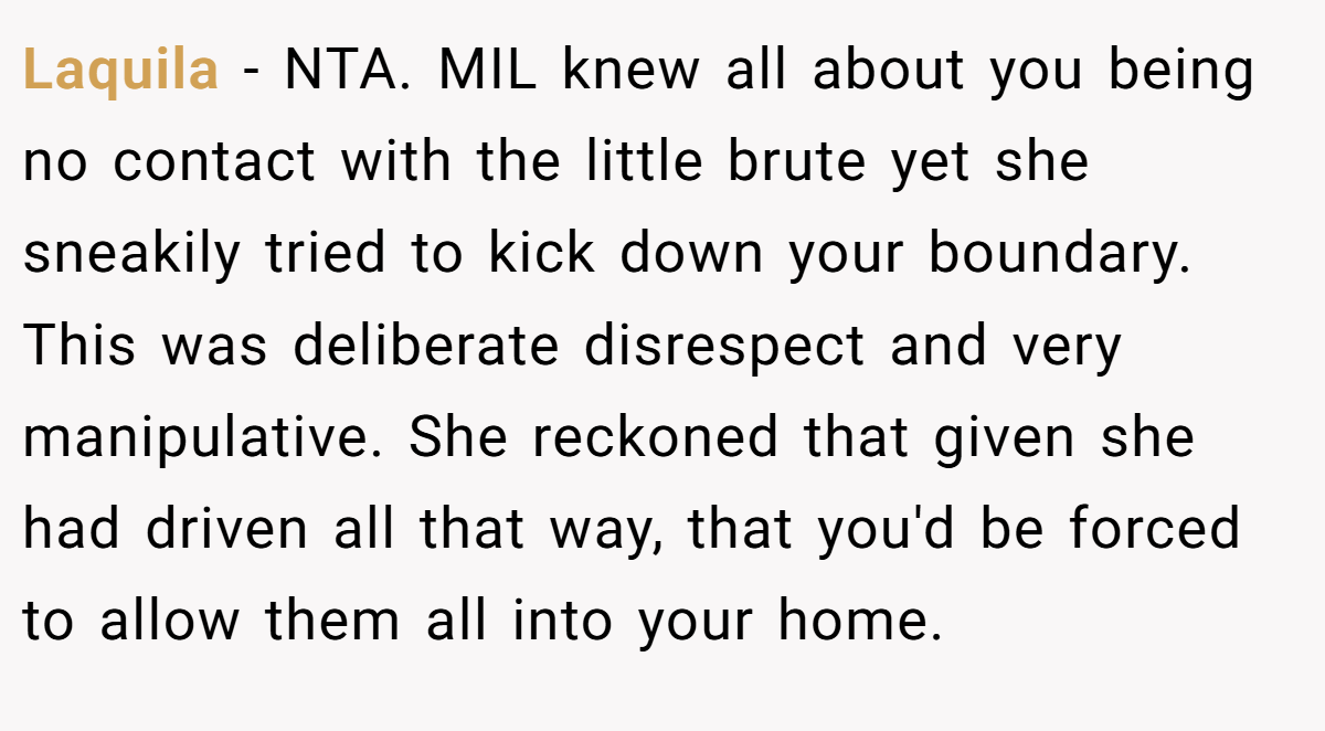 Laquila - NTA. MIL knew all about you being no contact with the little brute yet she sneakily tried to kick down your boundary. This was deliberate disrespect and very manipulative. She reckoned that given she had driven all that way, that you'd be forced to allow them all into your home.