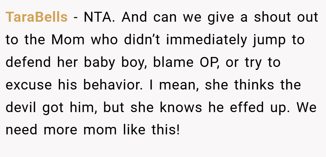 TaraBells − NTA. And can we give a shout out to the Mom who didn’t immediately jump to defend her baby boy, blame OP, or try to excuse his behavior. I mean, she thinks the devil got him, but she knows he effed up. We need more mom like this!