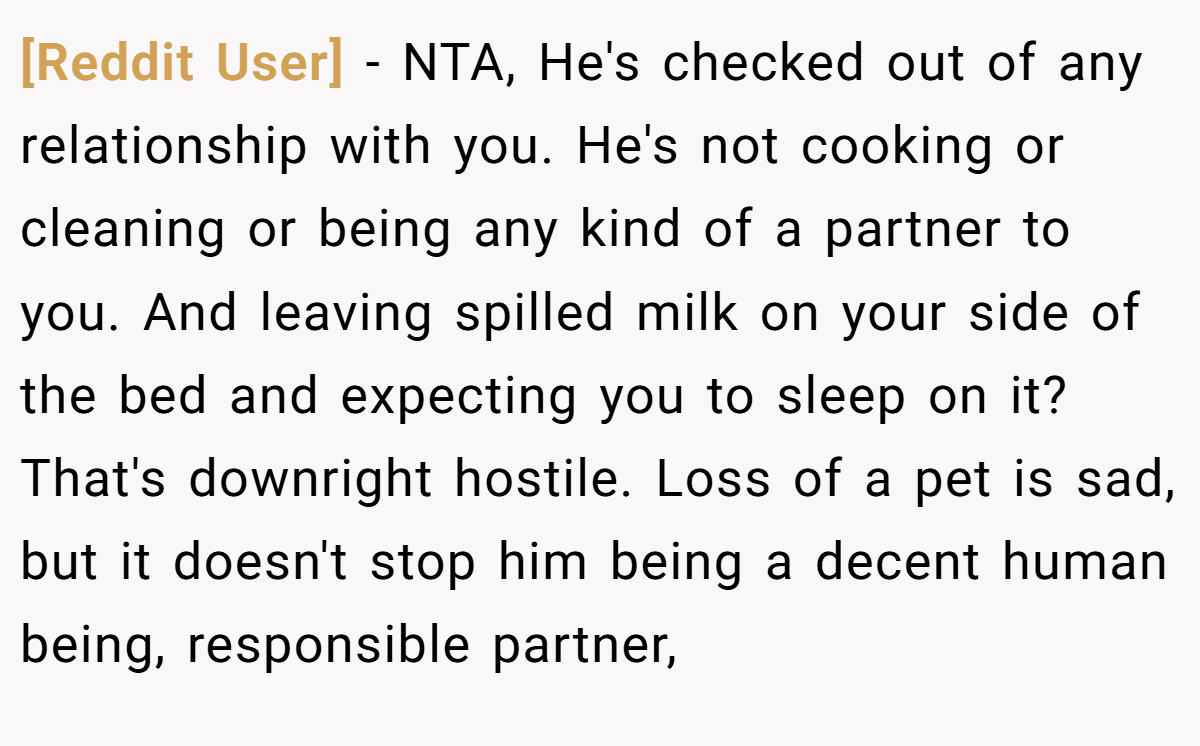 [Reddit User] − NTA, He's checked out of any relationship with you. He's not cooking or cleaning or being any kind of a partner to you. And leaving spilled milk on your side of the bed and expecting you to sleep on it? That's downright hostile. Loss of a pet is sad, but it doesn't stop him being a decent human being, responsible partner,