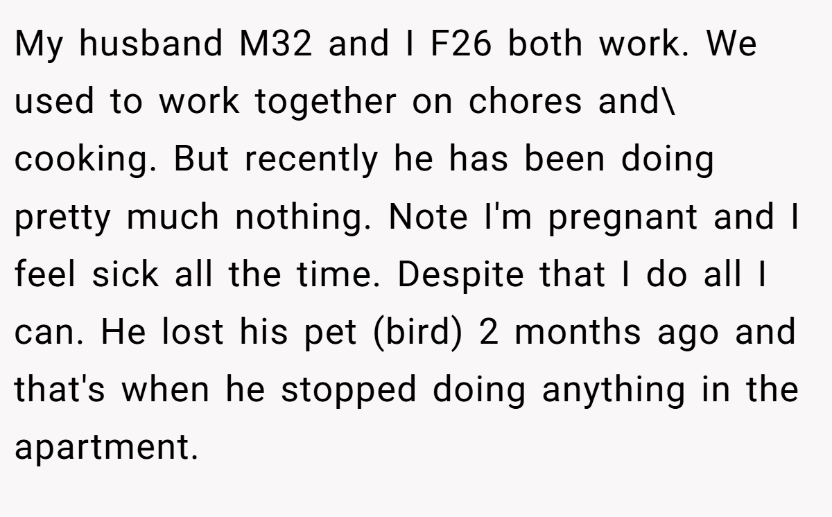 My husband M32 and I F26 both work. We used to work together on chores and\ cooking. But recently he has been doing pretty much nothing. Note I'm pregnant and I feel sick all the time. Despite that I do all I can. He lost his pet (bird) 2 months ago and that's when he stopped doing anything in the apartment.