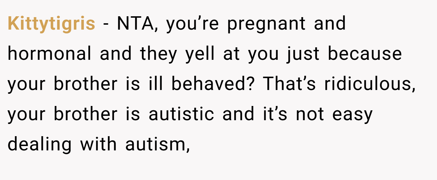 Kittytigris − NTA, you’re pregnant and hormonal and they yell at you just because your brother is ill behaved? That’s ridiculous, your brother is autistic and it’s not easy dealing with autism,