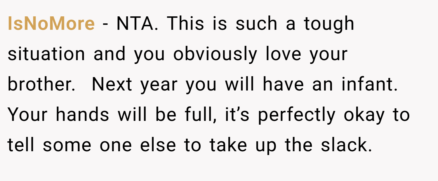 IsNoMore − NTA. This is such a tough situation and you obviously love your brother.  Next year you will have an infant. Your hands will be full, it’s perfectly okay to tell some one else to take up the slack.