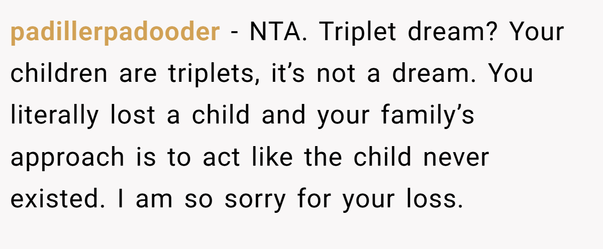 padillerpadooder − NTA. Triplet dream? Your children are triplets, it’s not a dream. You literally lost a child and your family’s approach is to act like the child never existed. I am so sorry for your loss.