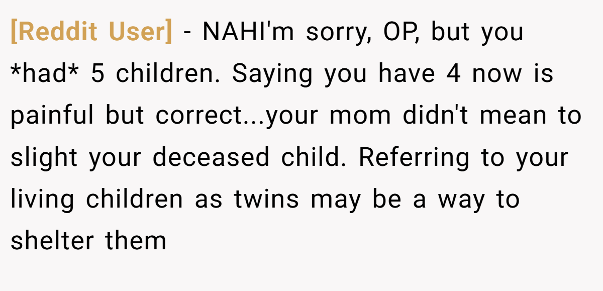 [Reddit User] − NAHI'm sorry, OP, but you *had* 5 children. Saying you have 4 now is painful but correct...your mom didn't mean to slight your deceased child. Referring to your living children as twins may be a way to shelter them