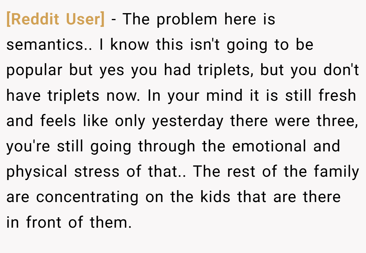 [Reddit User] − The problem here is semantics.. I know this isn't going to be popular but yes you had triplets, but you don't have triplets now. In your mind it is still fresh and feels like only yesterday there were three, you're still going through the emotional and physical stress of that.. The rest of the family are concentrating on the kids that are there in front of them.
