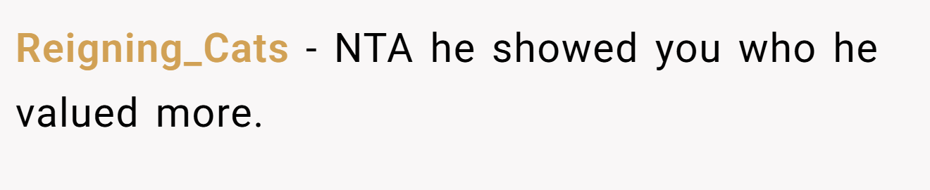 Reigning_Cats - NTA he showed you who he valued more.