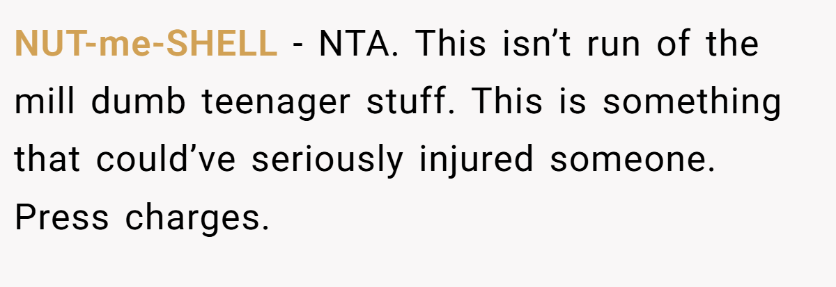 NUT-me-SHELL − NTA. This isn’t run of the mill dumb teenager stuff. This is something that could’ve seriously injured someone. Press charges.