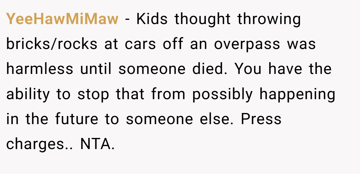 YeeHawMiMaw − Kids thought throwing bricks/rocks at cars off an overpass was harmless until someone died. You have the ability to stop that from possibly happening in the future to someone else. Press charges.. NTA.