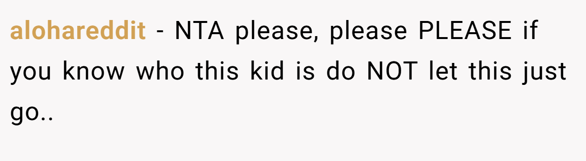 alohareddit − NTA please, please PLEASE if you know who this kid is do NOT let this just go.. 