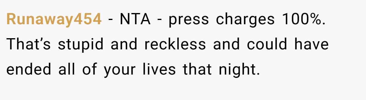 Runaway454 − NTA - press charges 100%. That’s stupid and reckless and could have ended all of your lives that night.