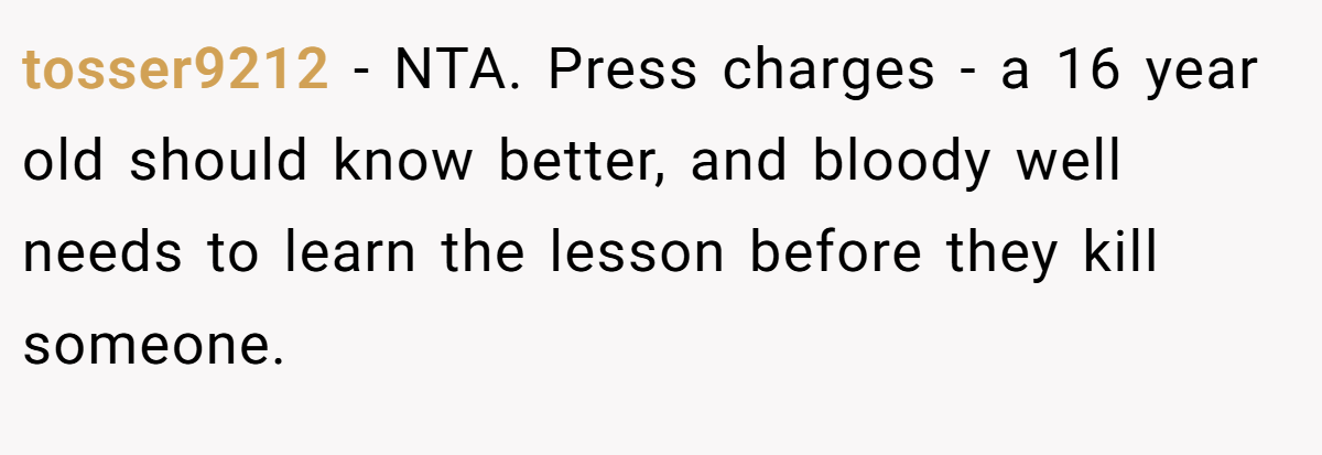 tosser9212 − NTA. Press charges - a 16 year old should know better, and bloody well needs to learn the lesson before they kill someone.