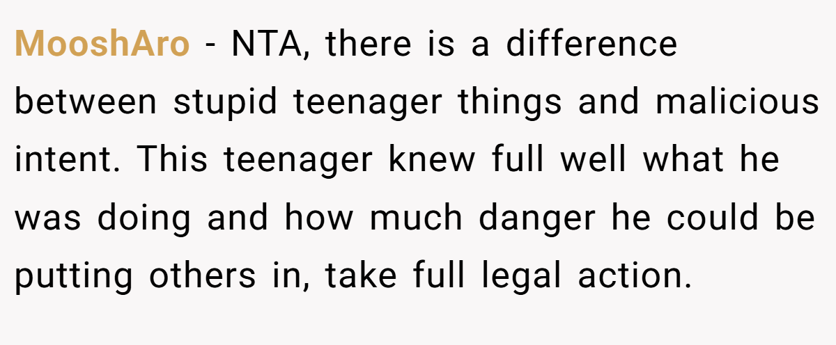 MooshAro − NTA, there is a difference between stupid teenager things and malicious intent. This teenager knew full well what he was doing and how much danger he could be putting others in, take full legal action.