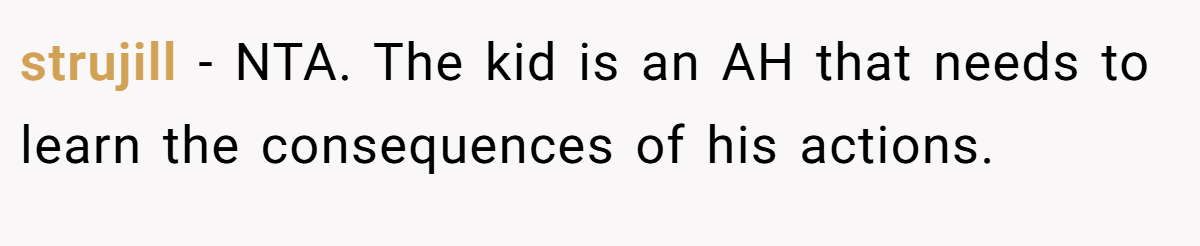 strujill − NTA. The kid is an AH that needs to learn the consequences of his actions.