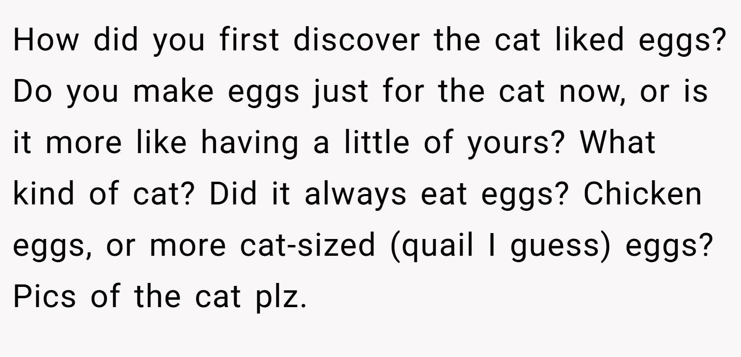 How did you first discover the cat liked eggs? Do you make eggs just for the cat now, or is it more like having a little of yours? What kind of cat? Did it always eat eggs? Chicken eggs, or more cat-sized (quail I guess) eggs? Pics of the cat plz.