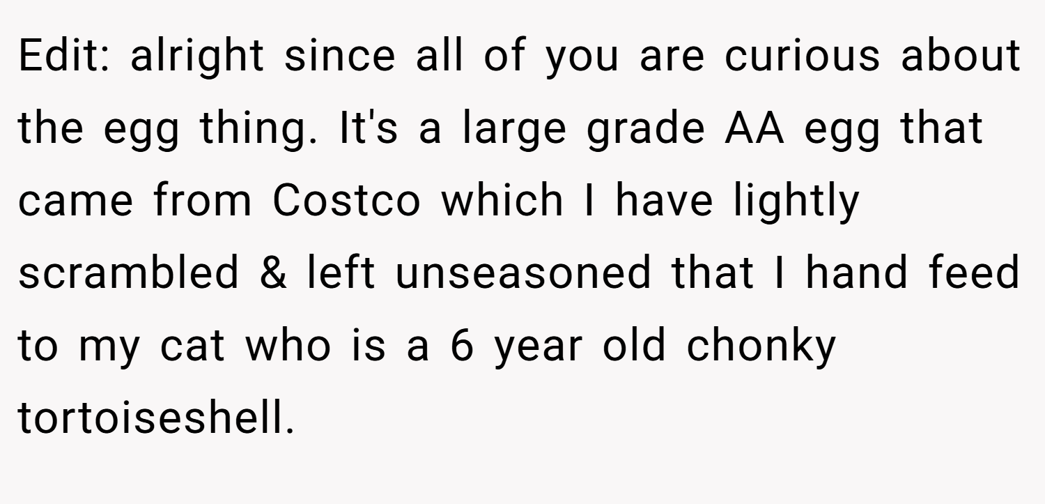 Edit: alright since all of you are curious about the egg thing. It's a large grade AA egg that came from Costco which I have lightly scrambled & left unseasoned that I hand feed to my cat who is a 6 year old chonky tortoiseshell.