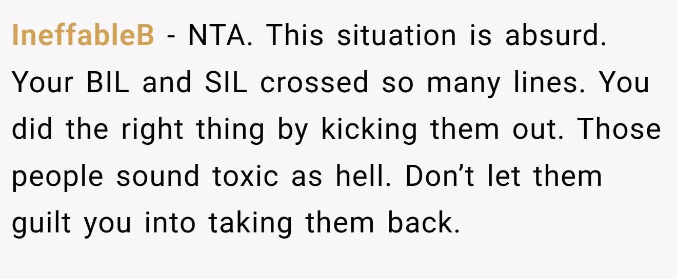 IneffableB - NTA. This situation is absurd. Your BIL and SIL crossed so many lines. You did the right thing by kicking them out. Those people sound toxic as hell. Don’t let them guilt you into taking them back.