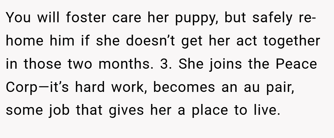 You will foster care her puppy, but safely re-home him if she doesn’t get her act together in those two months. 3. She joins the Peace Corp—it’s hard work, becomes an au pair, some job that gives her a place to live.