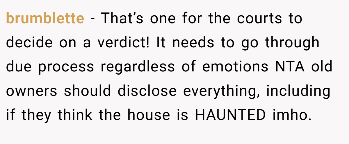 brumblette − That’s one for the courts to decide on a verdict! It needs to go through due process regardless of emotions NTA old owners should disclose everything, including if they think the house is HAUNTED imho.