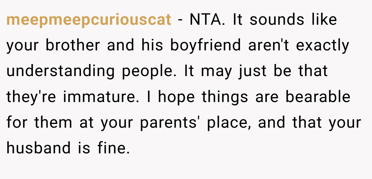 meepmeepcuriouscat - NTA. It sounds like your brother and his boyfriend aren't exactly understanding people. It may just be that they're immature. I hope things are bearable for them at your parents' place, and that your husband is fine.