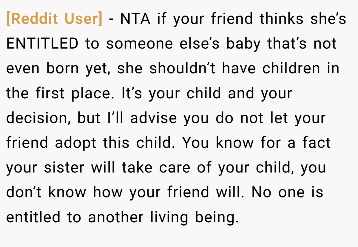 [Reddit User] − NTA if your friend thinks she’s ENTITLED to someone else’s baby that’s not even born yet, she shouldn’t have children in the first place. It’s your child and your decision, but I’ll advise you do not let your friend adopt this child. You know for a fact your sister will take care of your child, you don’t know how your friend will. No one is entitled to another living being.