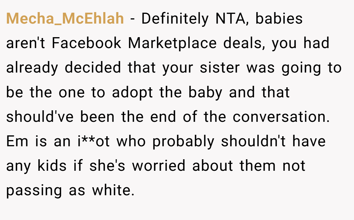 Mecha_McEhlah − Definitely NTA, babies aren't Facebook Marketplace deals, you had already decided that your sister was going to be the one to adopt the baby and that should've been the end of the conversation. Em is an i**ot who probably shouldn't have any kids if she's worried about them not passing as white.
