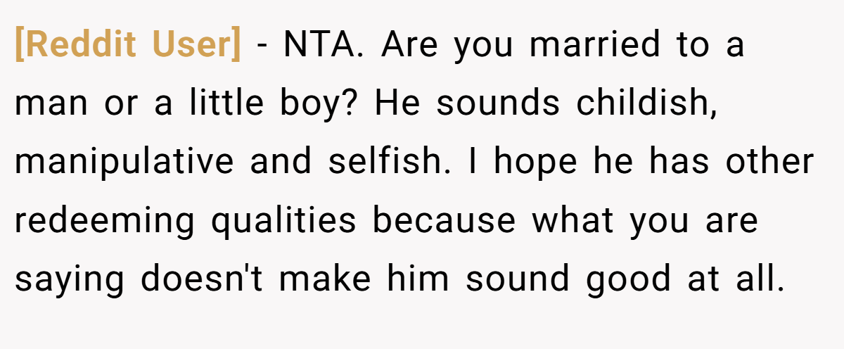 [Reddit User] − NTA. Are you married to a man or a little boy? He sounds childish, manipulative and selfish. I hope he has other redeeming qualities because what you are saying doesn't make him sound good at all.