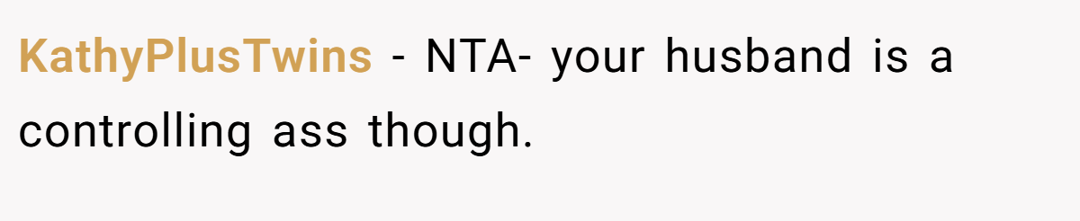 KathyPlusTwins − NTA- your husband is a controlling ass though.