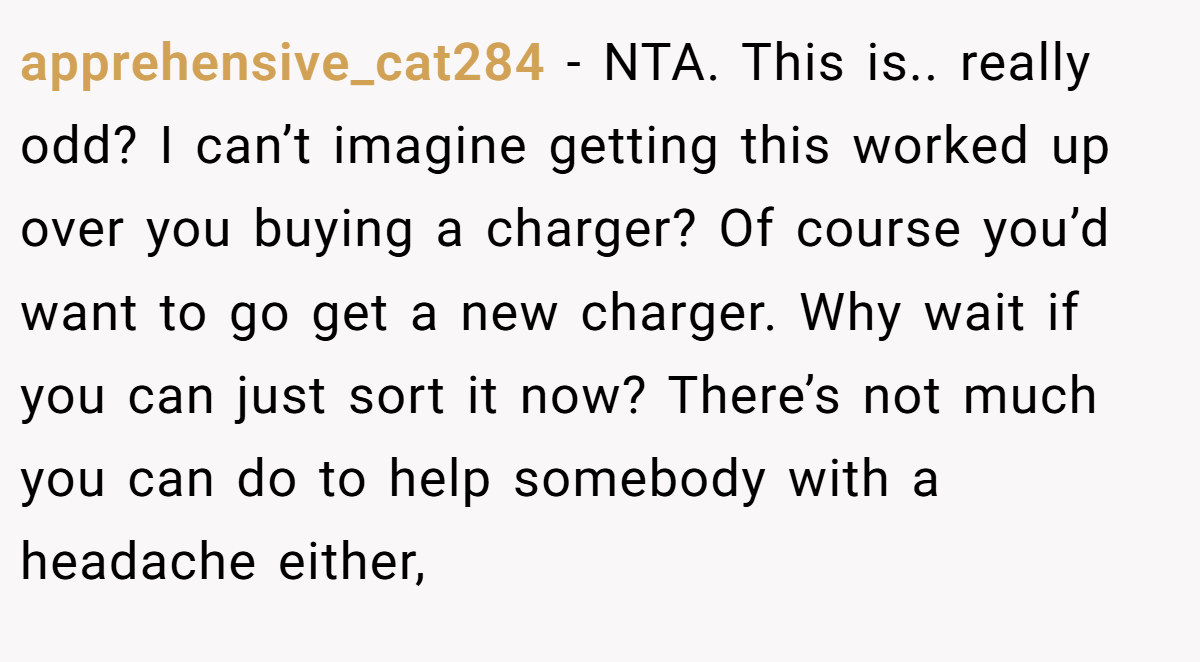 apprehensive_cat284 − NTA. This is.. really odd? I can’t imagine getting this worked up over you buying a charger? Of course you’d want to go get a new charger. Why wait if you can just sort it now? There’s not much you can do to help somebody with a headache either,