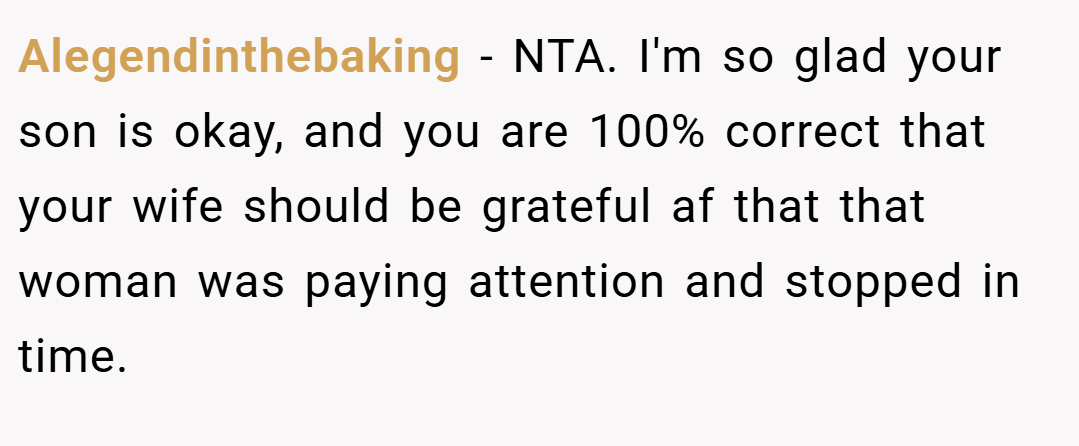 Alegendinthebaking − NTA. I'm so glad your son is okay, and you are 100% correct that your wife should be grateful af that that woman was paying attention and stopped in time.