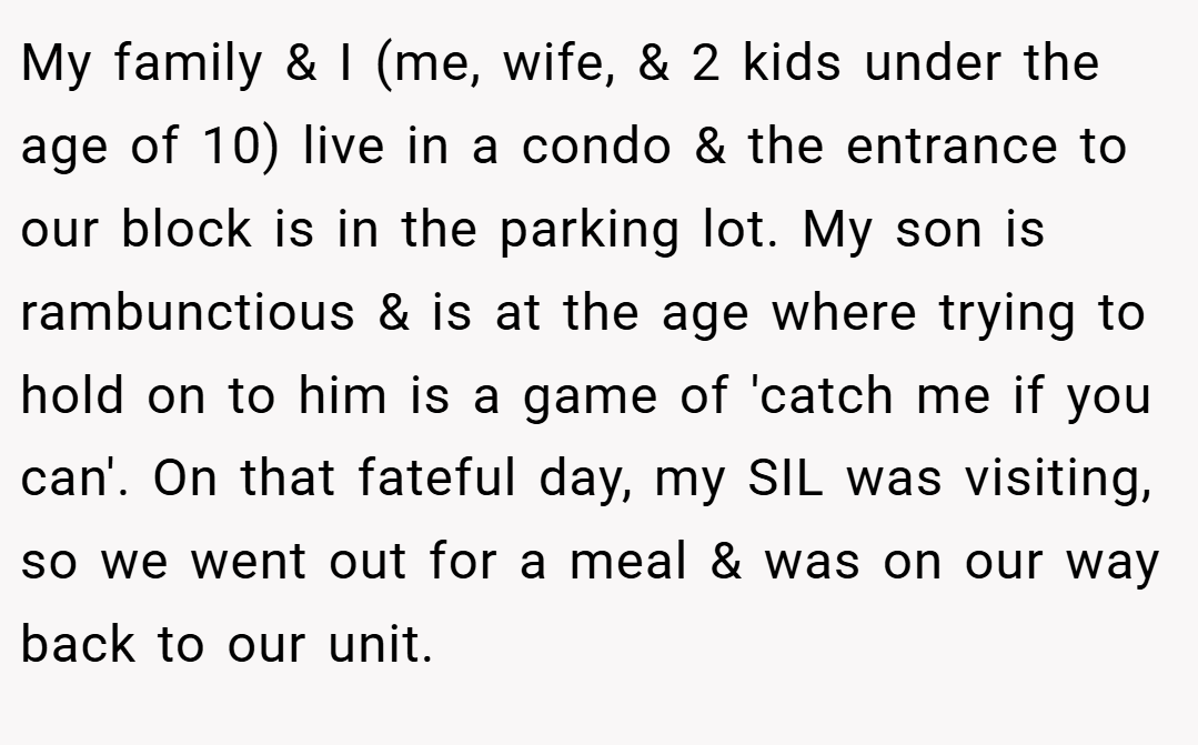 My family & I (me, wife, & 2 kids under the age of 10) live in a condo & the entrance to our block is in the parking lot. My son is rambunctious & is at the age where trying to hold on to him is a game of 'catch me if you can'. On that fateful day, my SIL was visiting, so we went out for a meal & was on our way back to our unit.