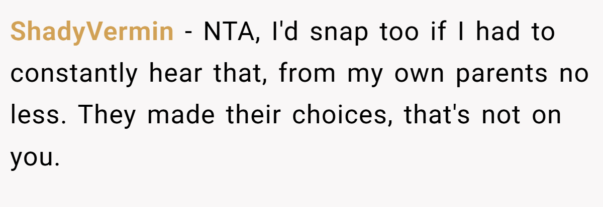ShadyVermin − NTA, I'd snap too if I had to constantly hear that, from my own parents no less. They made their choices, that's not on you.