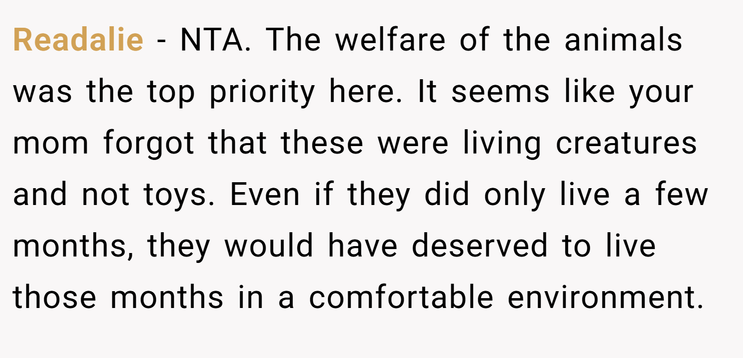 Readalie − NTA. The welfare of the animals was the top priority here. It seems like your mom forgot that these were living creatures and not toys. Even if they did only live a few months, they would have deserved to live those months in a comfortable environment.
