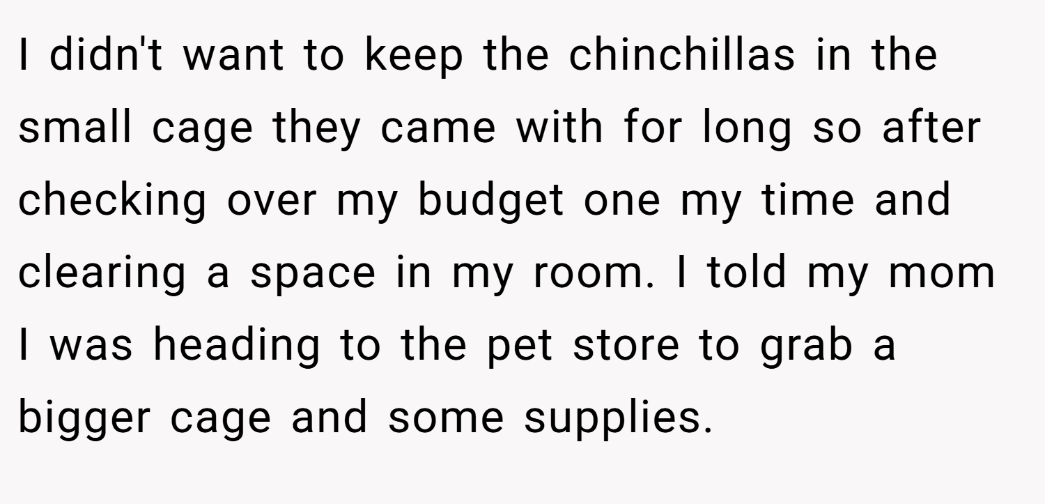 I didn't want to keep the chinchillas in the small cage they came with for long so after checking over my budget one my time and clearing a space in my room. I told my mom I was heading to the pet store to grab a bigger cage and some supplies.